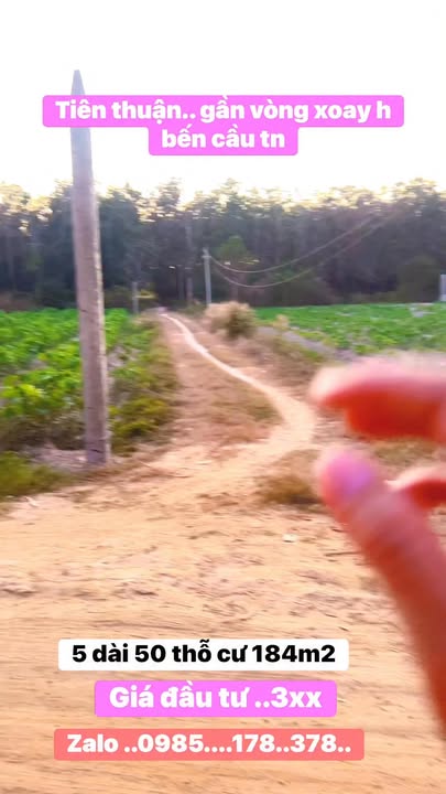 Đất thổ cư Tiên Thuận Bến Cầu 184m² - Giá đầu tư hấp dẫn!