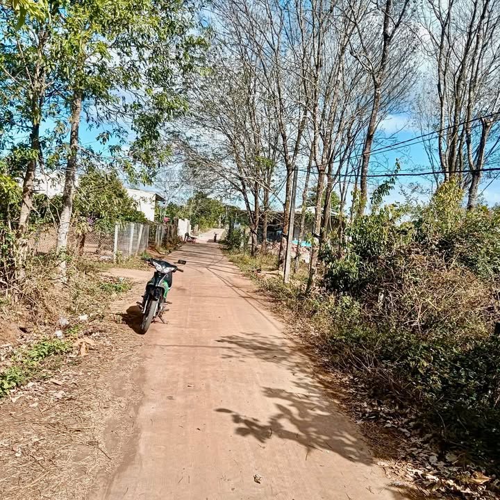 Đất nền diện tích 450m² tại xã Ia Dêr, huyện Ia Grai - Giá chỉ 1 tỷ!