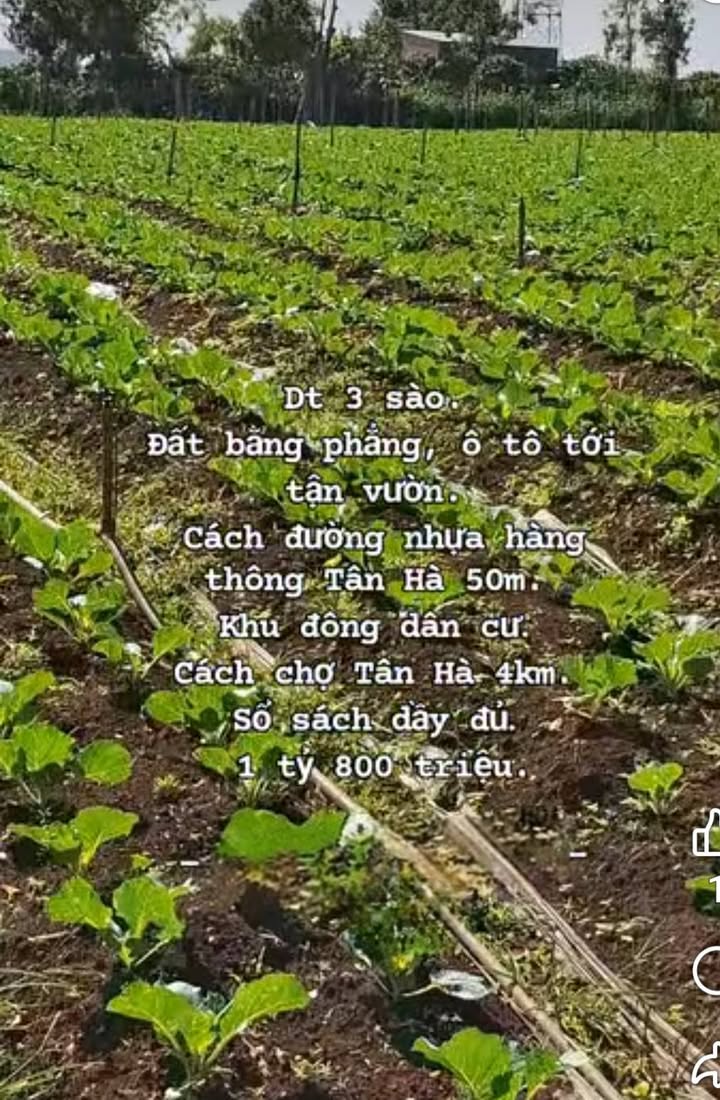 Đất nền đường Hàng Thông, huyện Đức Trọng, 1080m² giá 1.8 tỷ - Mặt tiền đường rộng rãi!