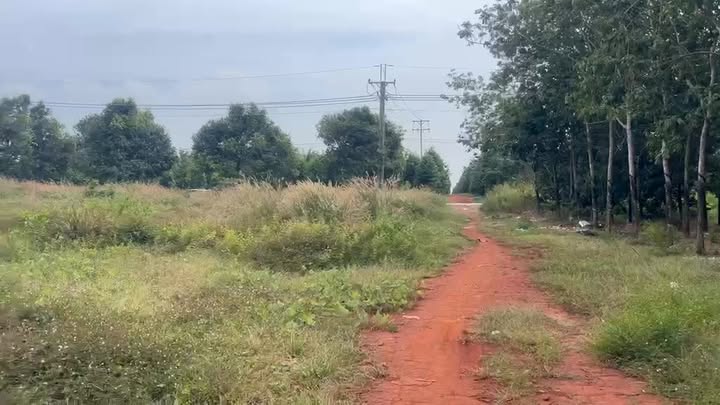 Đất Farm 62ha Cẩm Mỹ, Đồng Nai giá 39 triệu/năm - Cơ hội đầu tư hấp dẫn!