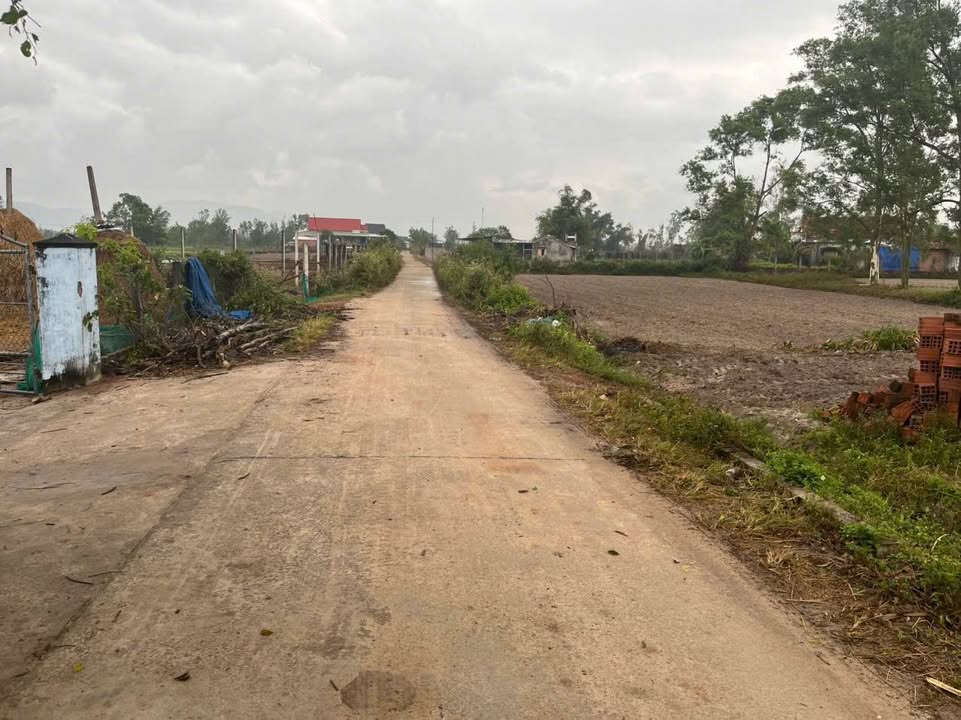 Đất nền Hữu Hạnh, Cát Tân, Phù Cát 500m² giá chỉ 5xx triệu - Cơ hội đầu tư hấp dẫn!