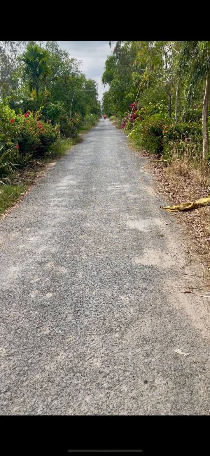 Đất nông nghiệp 46.000m² tại Tân Công Sính, Tam Nông - Giá chỉ 5.98 tỷ VND!