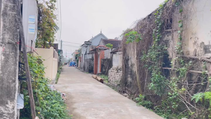 Đất nền tại xóm Cự Nại, Diễn Hùng, Diễn Châu 199m² giá 1.4 tỷ - Cơ hội đầu tư hấp dẫn!