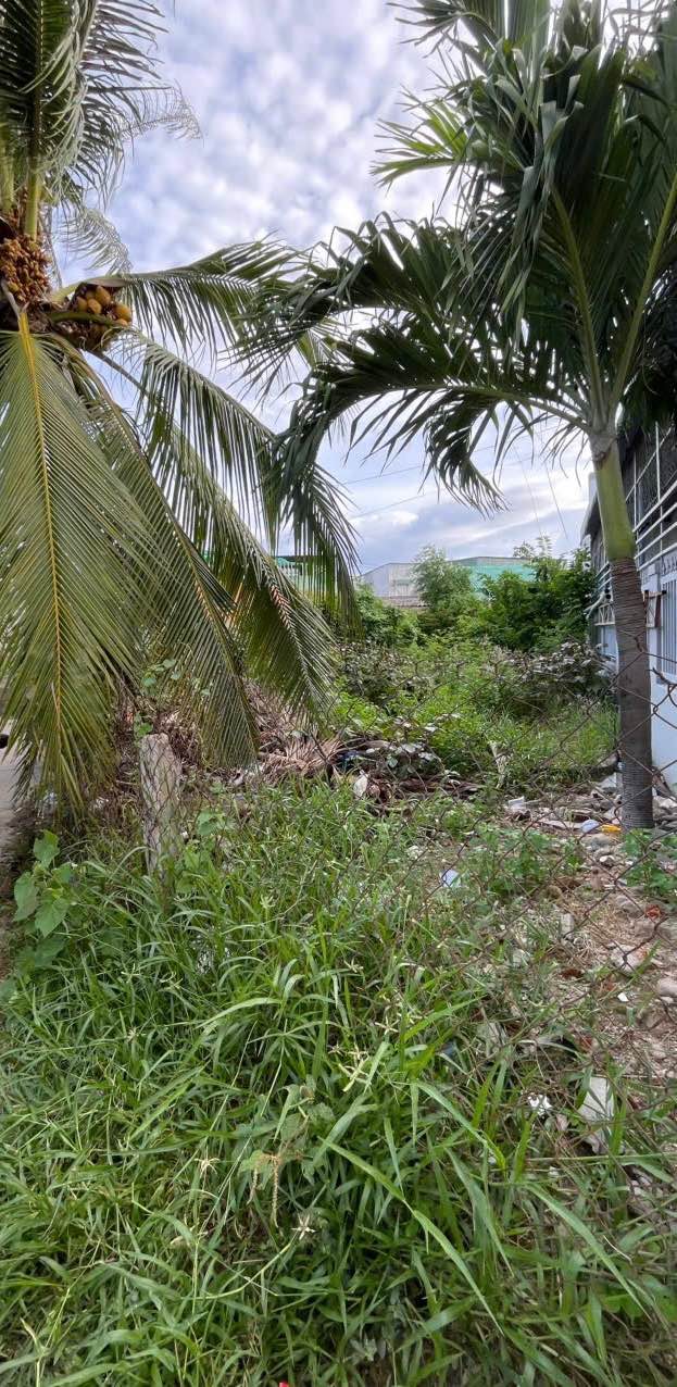 Đất nền Kp3 Văn Hải, 103m² giá 930 triệu - Cơ hội đầu tư hiếm có!