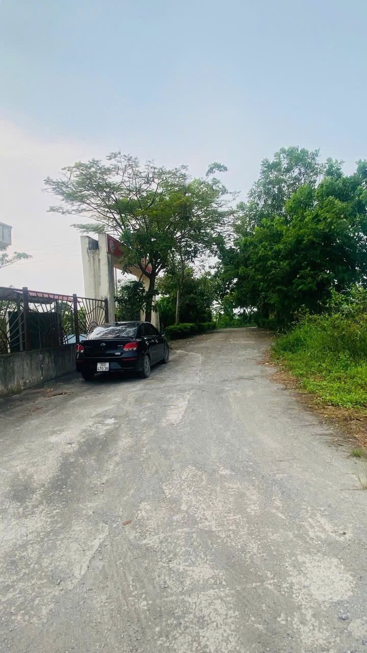 Đất đấu giá An Mỹ, Phú Xuyên 55.5m² giá 1 tỷ - Cơ hội đầu tư tuyệt vời!