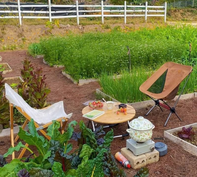 Đất nền Làng Yên Mỹ, Thanh Trì 137m² giá 500 triệu - Sổ đỏ chính chủ