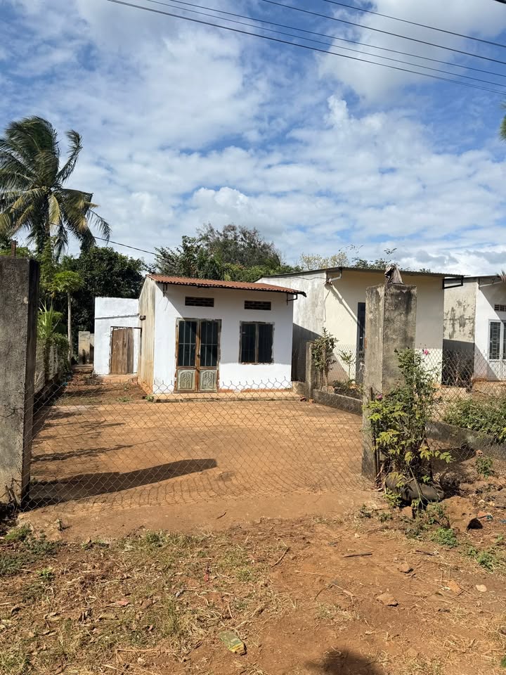 Đất thổ cư 335m² tại Quảng Tiến, Cư M'gar - Tặng nhà, giá chỉ 750 triệu!