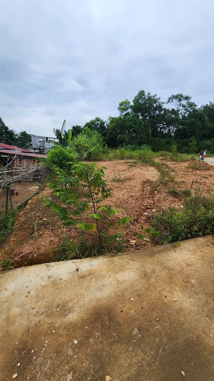 Đất thổ cư Kim Phú, Tuyên Quang 88m² giá 1.2 tỷ - Sổ hồng chính chủ!