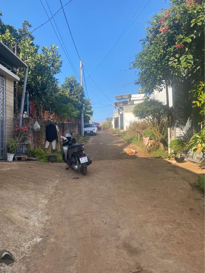 Đất nền chính chủ Phường Diên Hồng 100m² giá 1 tỷ - Đường 8m thông thoáng!