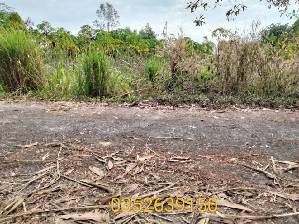 Đất nền Tái Định Cư Hắc Dịch 135m² giá chỉ 950 triệu - Cơ hội đầu tư hấp dẫn!