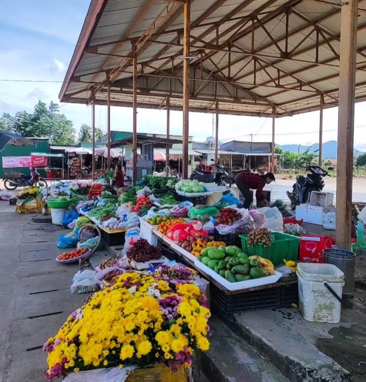 Đất nền khu dân cư chợ chiều Đắk Hring 568m² - Giá thỏa thuận hấp dẫn!