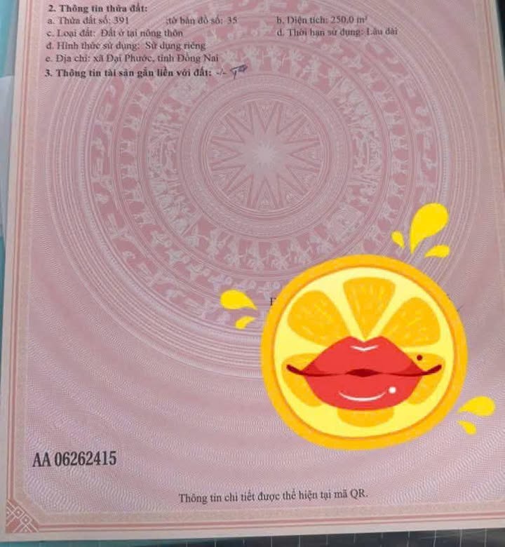 Đất thổ cư 125m² Phú Đông, Nhơn Trạch chỉ 2 tỷ - Đầu tư sinh lời ngay!