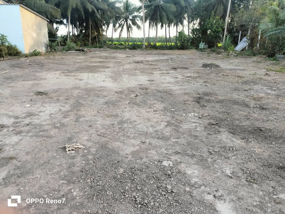 Đất mặt tiền đường Đan, xã Tân Hùng, huyện Tiểu Cần, 200m² giá 200 triệu - Sổ hồng chính chủ!