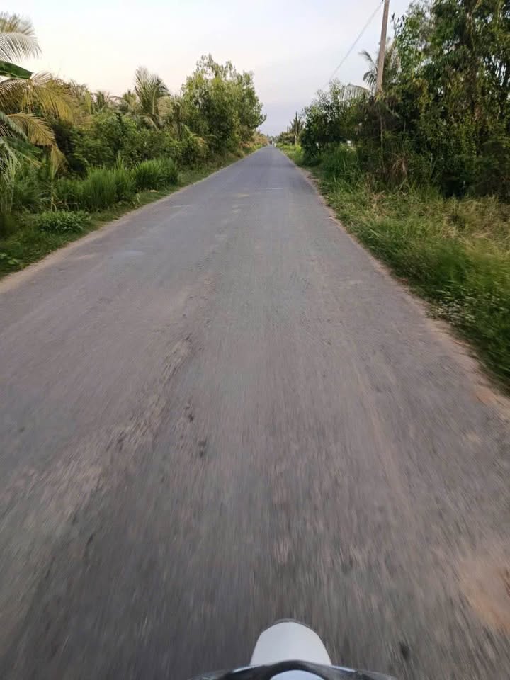 Đất nền 540m² mặt tiền đường nhựa tại Song Lộc, Châu Thành - Giá chỉ 350 triệu!