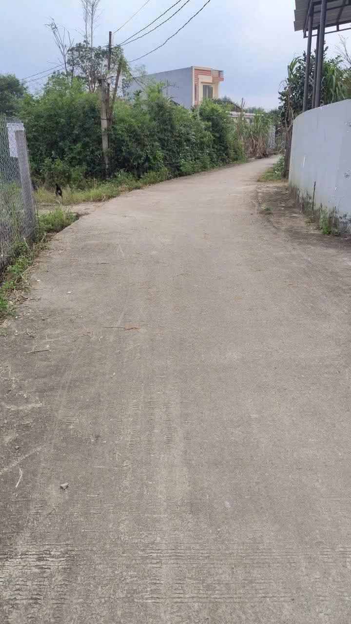 Đất nền lô góc xã Bình Chánh 450m² giá 7xx triệu - Cơ hội đầu tư tuyệt vời!