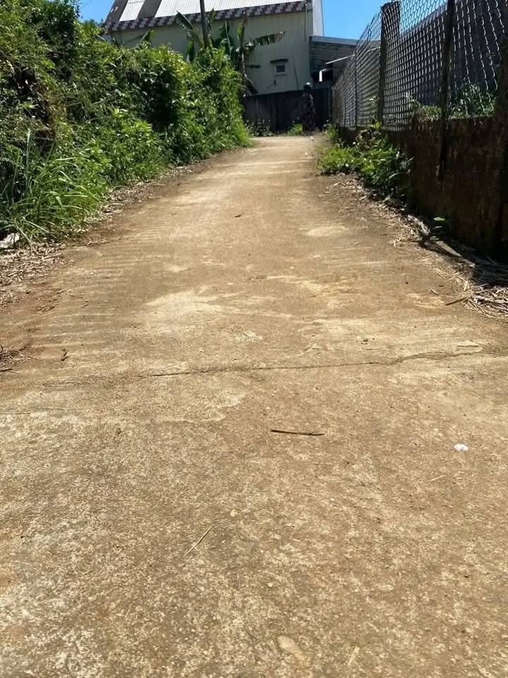 Đất nền Bình Hòa, Bình Sơn 200m² giá chỉ 320 triệu - Cơ hội đầu tư hấp dẫn!