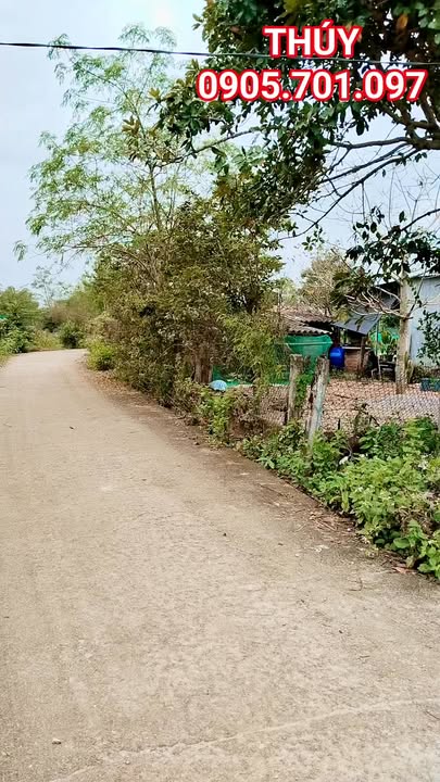 Đất Farm 1100m² tại Bình Dương, Thăng Bình - Lý tưởng cho nghỉ dưỡng cuối tuần!