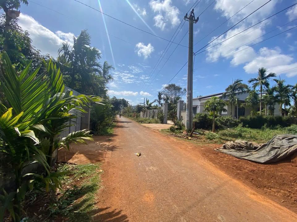 Đất nền phường Tân Lập, Buôn Ma Thuột 100m² giá chỉ 9 tỷ - Cơ hội đầu tư hấp dẫn!