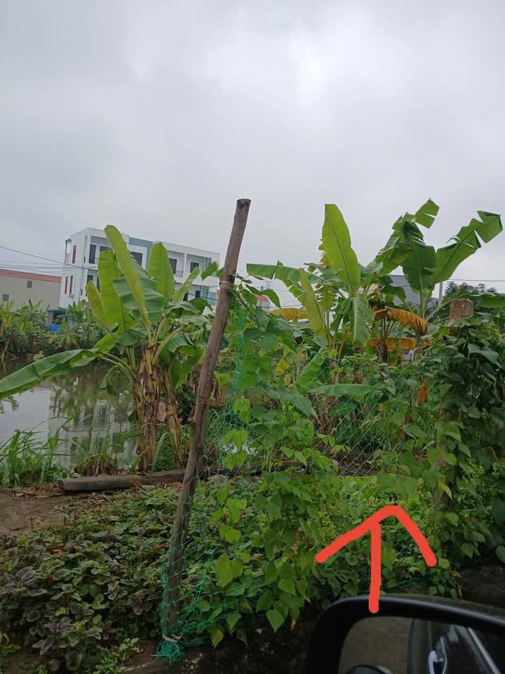 Đất nền phường Ninh Khánh 111m² giá 7.1 tỷ - Đầu tư sinh lời ngay!