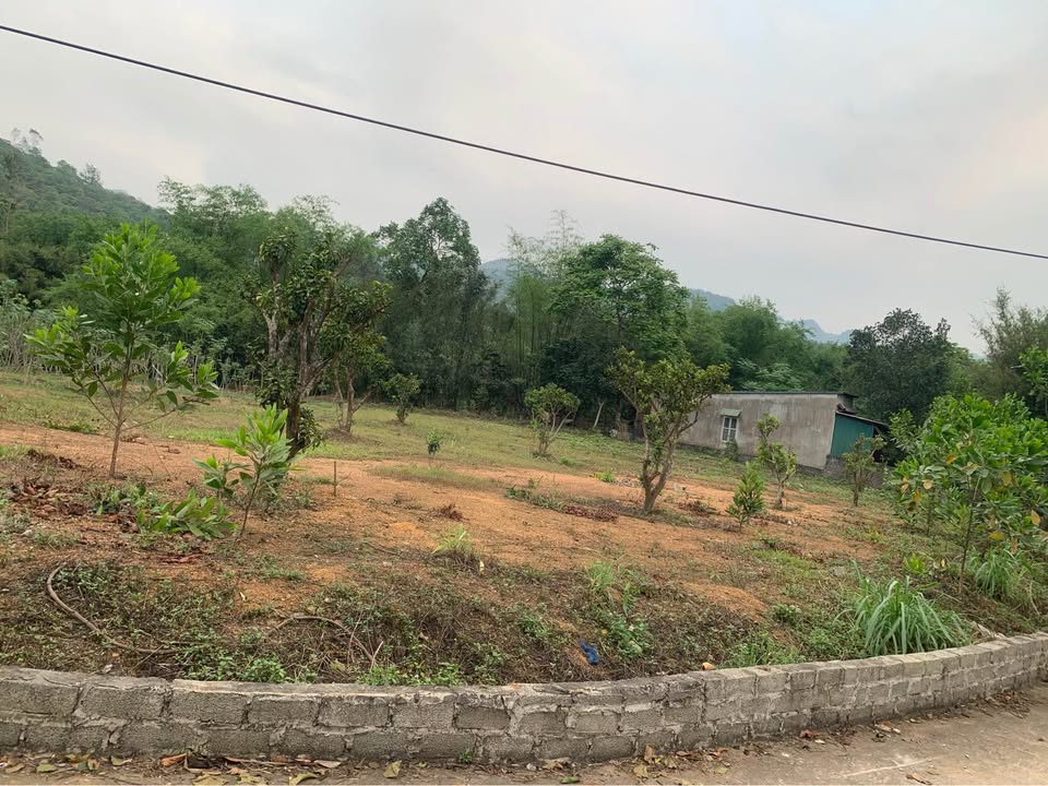 Mặt tiền FrontHouse 23m, dài 70m, giá chỉ 1.62 tỷ tại Phường Thống Nhất - Cơ hội đầu tư tuyệt vời!