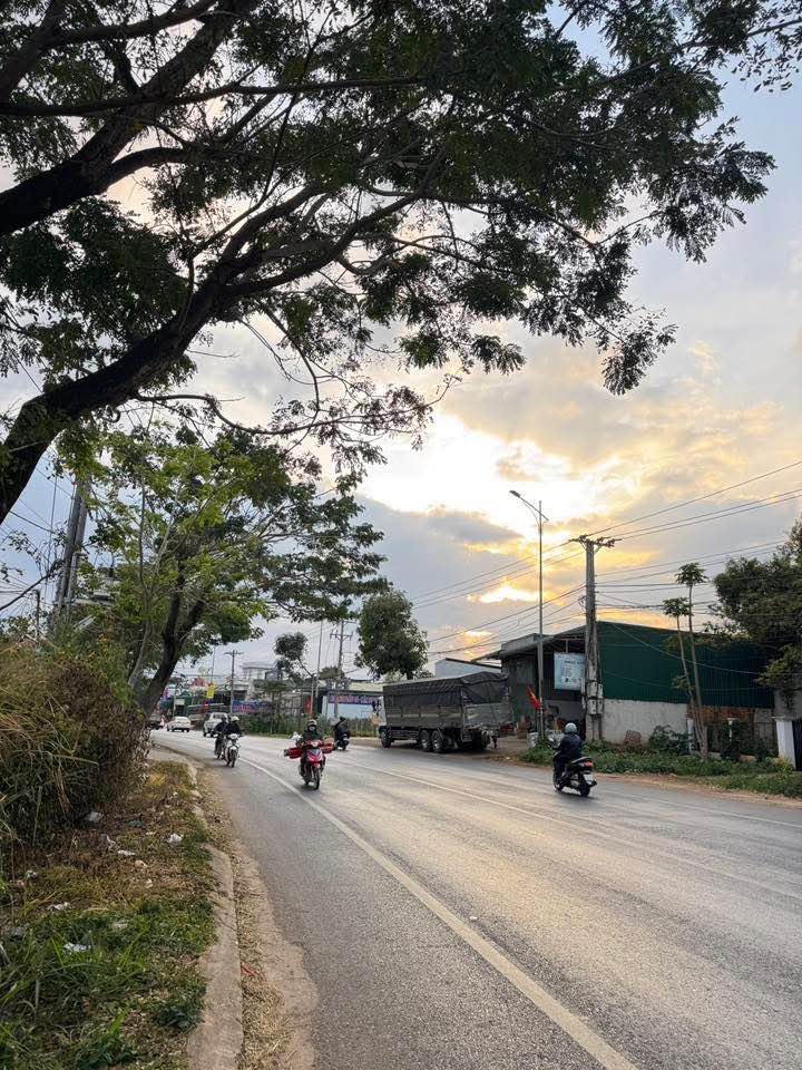 Đất thổ cư 500m² tại Liên Nghĩa, Đức Trọng - Giá chỉ 6.4 tỷ, thuận tiện kinh doanh!