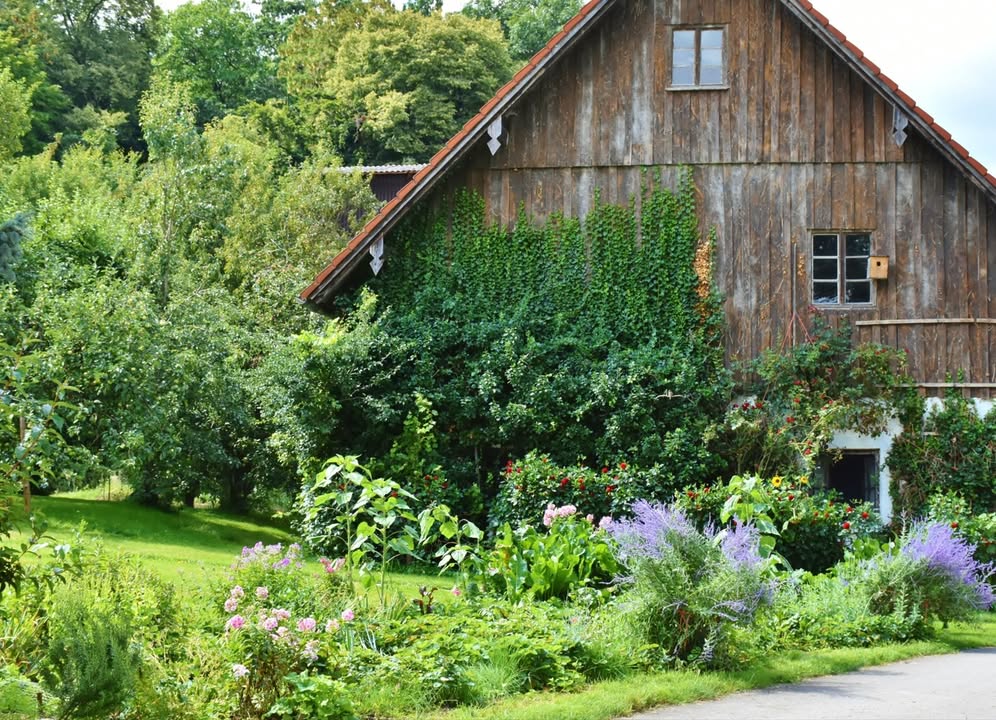 Đất Thổ Cư 122m² Xã Lộc Thanh, TP Bảo Lộc - Giá chỉ 600 triệu!