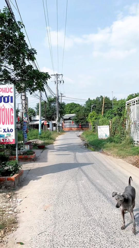 Đất nền Đức Hòa Long An 380m² giá 3.6 tỷ - Sổ hồng riêng, gần bệnh viện