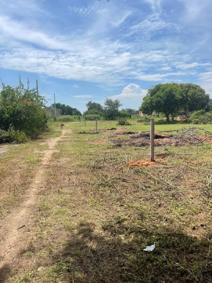 Đất thổ cư Phường Mũi Né 2000m² giá 1.6 tỷ - Sổ hồng riêng, thích hợp đầu tư!