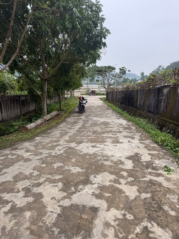 Đất lô góc 230m² tại xã Xuân Sơn, Đô Lương - Giá chỉ 1 tỷ VND!