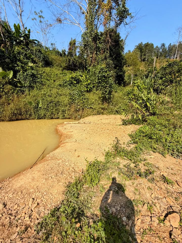 Đất thổ cư 375m² tại xã Yên Lãng, Thái Nguyên giá chỉ từ 100 triệu - Cơ hội đầu tư hấp dẫn!