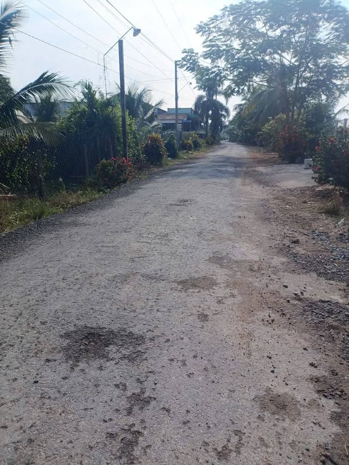 Đất farm 5000m² tại Mỹ Tịnh An, Chợ Gạo - Giá thỏa thuận chính chủ!