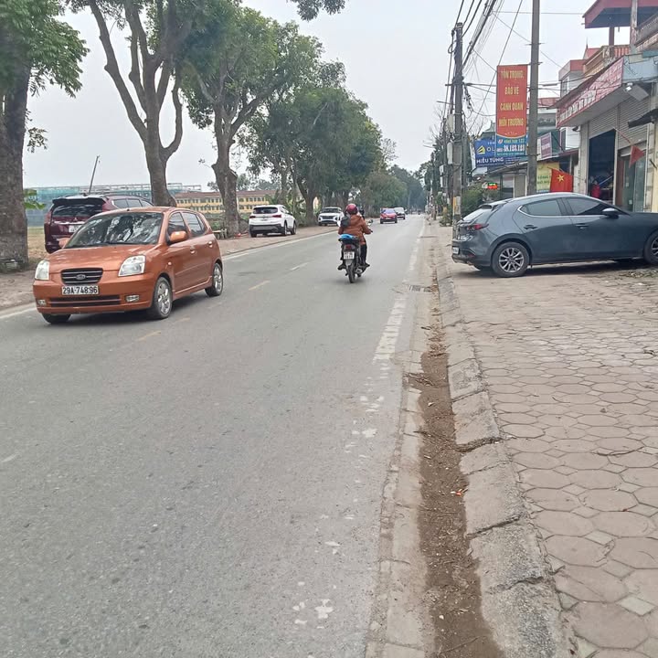 Đất nền Vin Cổ Loa, Đông Hội, 125m² - Tiềm năng sinh lời cao!