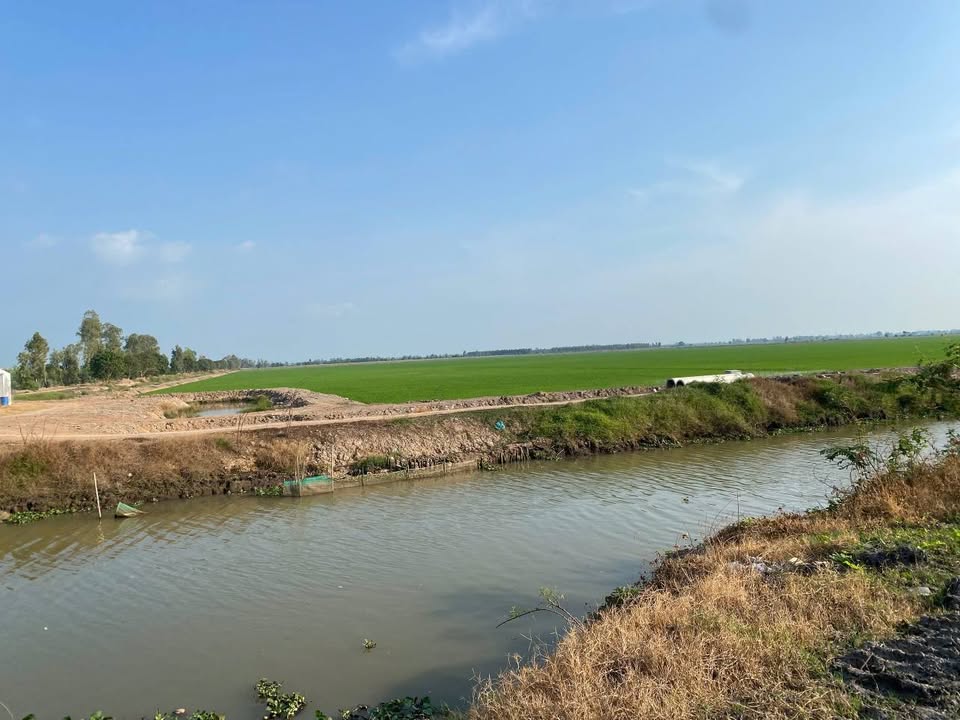 Đất Farm mặt tiền đường lộ nhựa 650.000m² tại Kiên Bình, Kiên Lương - Giá 78 tỷ