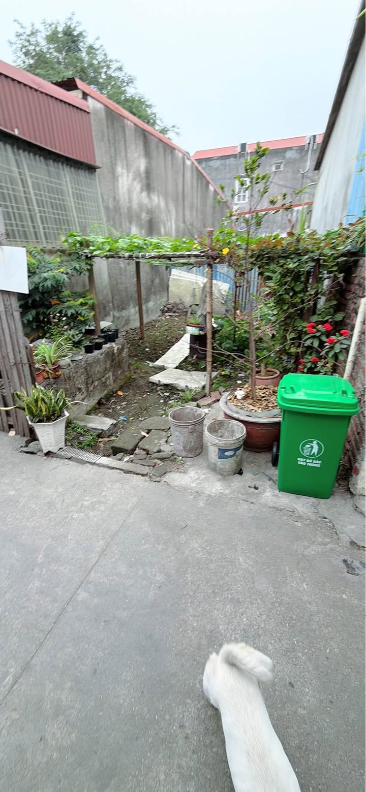 Đất nền tổ dân phố Do Nha, Quán Toan 80m² giá 1.5 tỷ - Vị trí đắc địa ngay trung tâm!