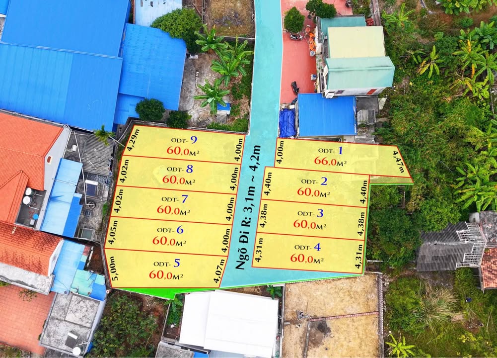 Đất nền FO (Liên Khê) TP. Hải Phòng 60m² - Giá chỉ 400 triệu - Đầu tư sinh lời!