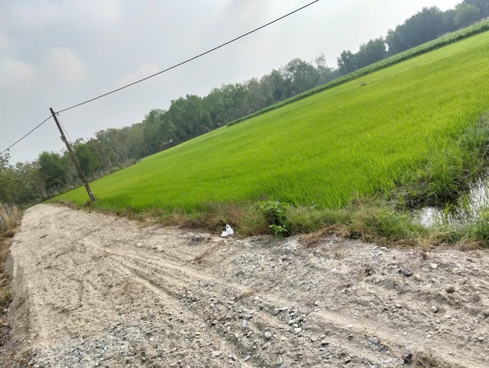 Đất vườn An Nhơn Tây, Củ Chi 500m² giá 1 tỷ - Sổ đỏ chính chủ!