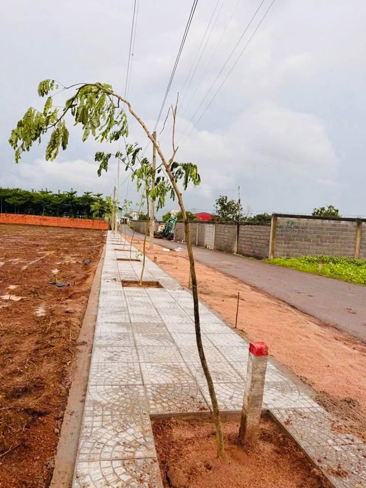 Đất thổ cư 135m² tại Đá Bạc, Châu Đức chỉ 670 triệu - Cơ hội vàng cho đầu tư!