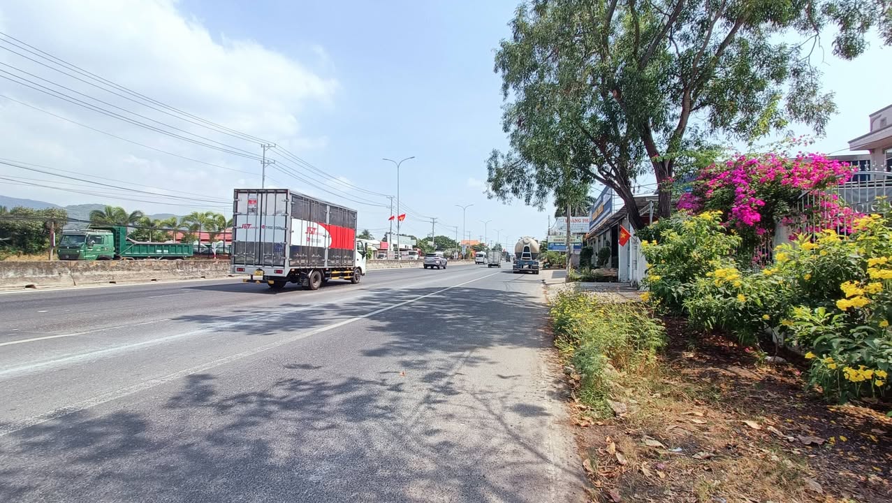 Đất Nông Nghiệp 508m² Phường Tân Hải - Giá Chỉ 2 Tỷ VND