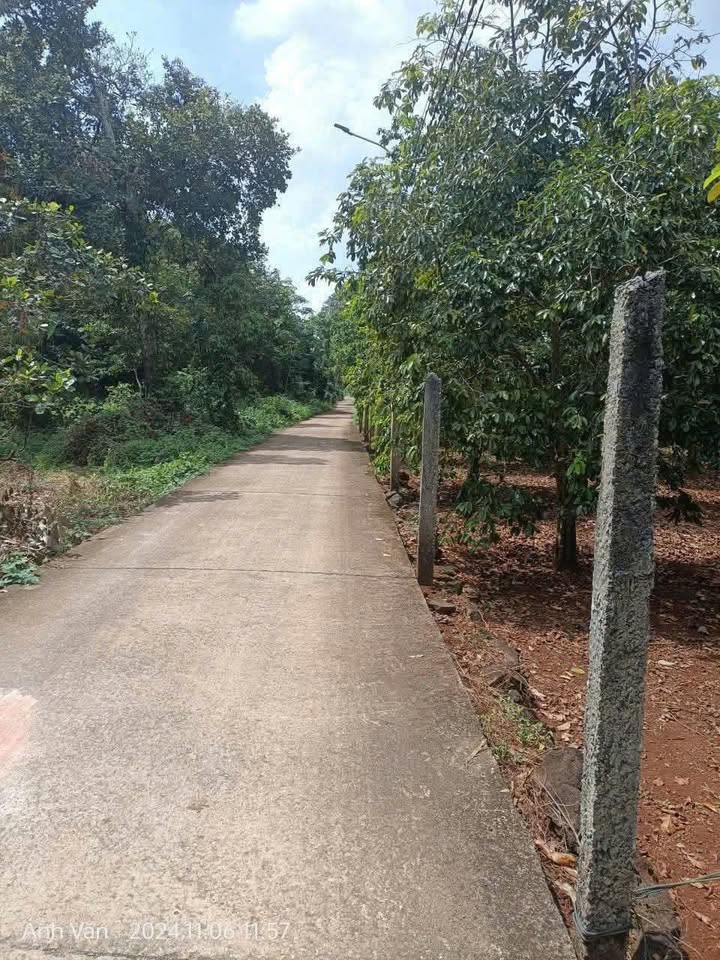 Đất nền Kim Long, Châu Đức 900m² giá chỉ 1.26 tỷ - Đầu tư sinh lời cao!