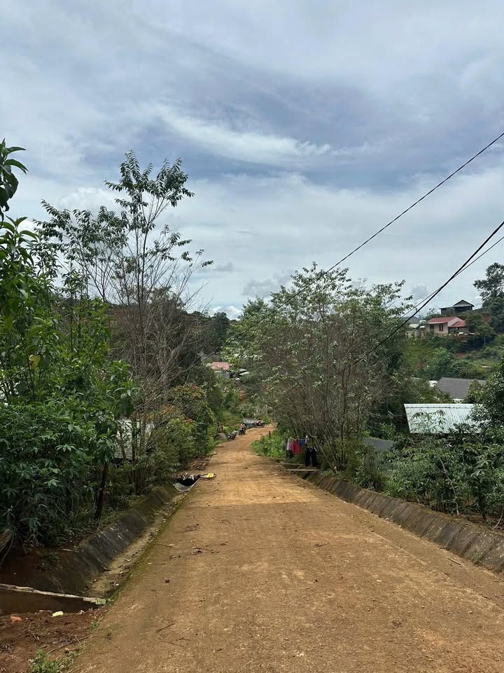 Đất thổ cư Măng Đen 360m² giá 3 tỷ - Tiềm năng phát triển cao!