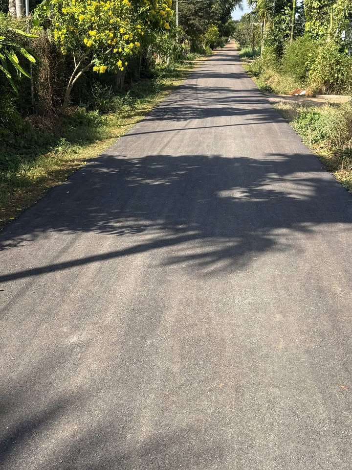 Đất nền Cư Suê, Đắk Lắk 156m² giá 500 triệu - Đầu tư sinh lời lý tưởng!