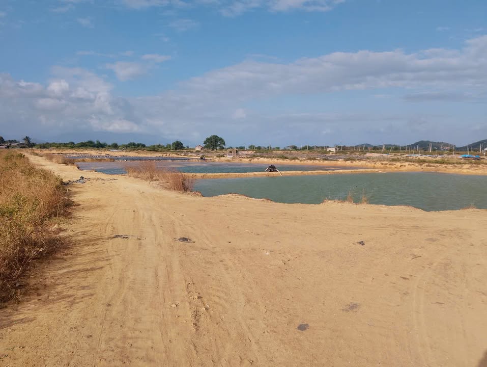 Đất nền ven biển Ninh Hòa 10.000m² giá 3 tỷ - Đầu tư sinh lời ngay!