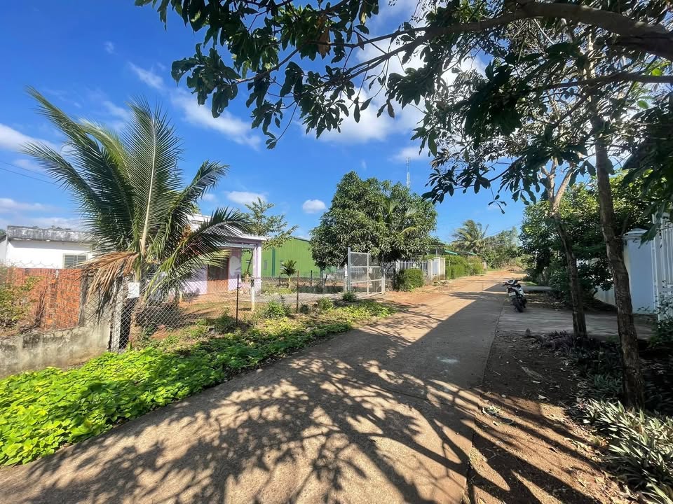 Nhà vườn Thôn 6 Hòa Khánh 300m² giá 3.05 tỷ - Gần chợ, thuận tiện kinh doanh!