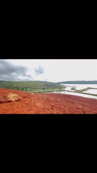 Đất nền 1ha Thôn 8, Xã Thuận Hà, Đắk Song - Giá chỉ 1.01 tỷ, cơ hội đầu tư hấp dẫn!