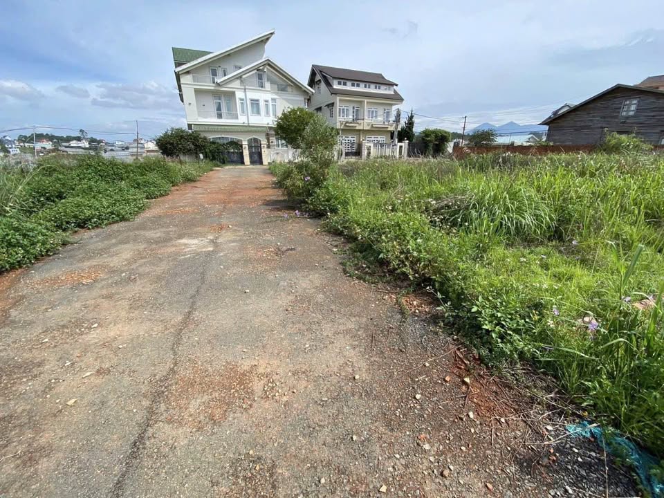 Đất hẻm ô tô lớn Ngô Tất Tố, Đà Lạt 202m² - Giá tốt hiếm có!