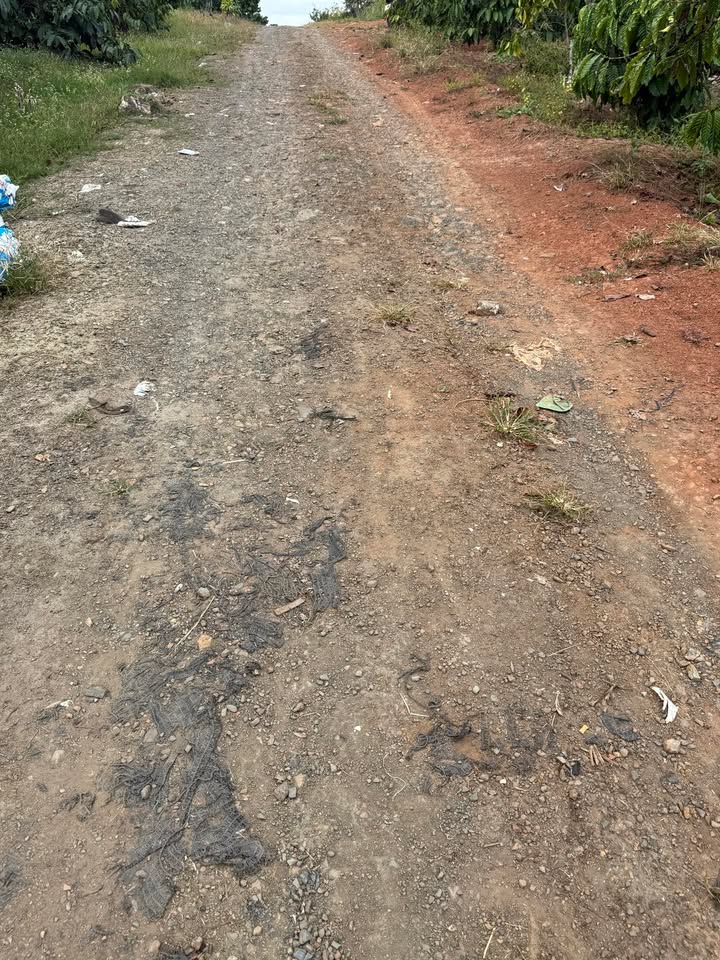 Đất thổ cư Hòa Bắc, Đà Nẵng 1948m² giá 930 triệu - Chính chủ bán gấp!