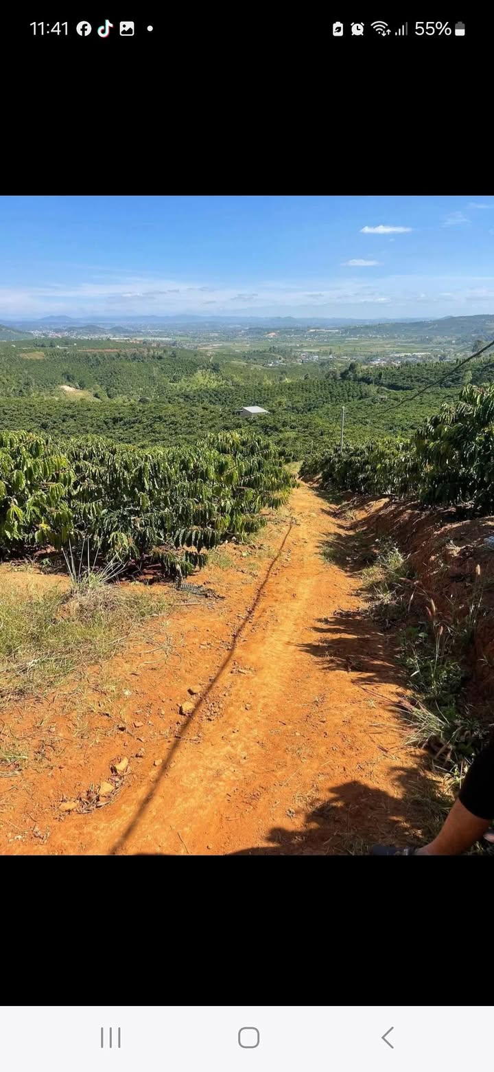 Lô đất kinh doanh cà phê tại Phú Sơn, Lâm Hà, 9000m² - Sổ đỏ chính chủ