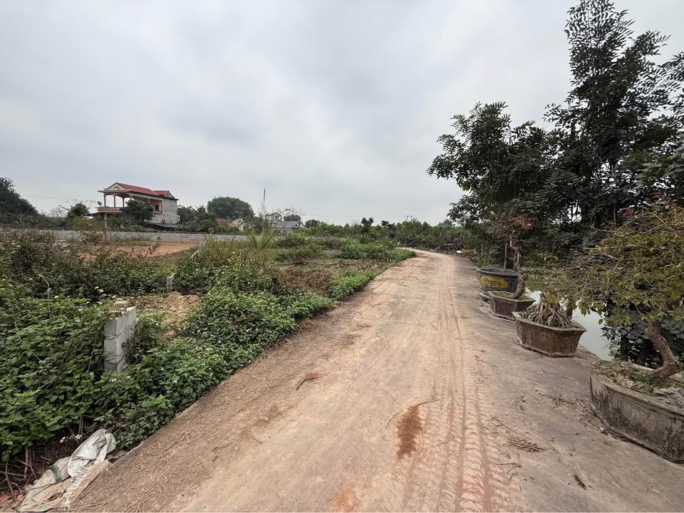 Đất nền xã Phúc Trìu 94m² giá thỏa thuận - Vị trí gần chợ thuận tiện