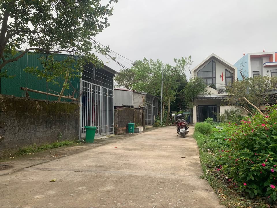 Đất nền ngõ Vũ Trọng Phụng, Đồng Hới 100m² giá 1.3 tỷ - Cơ hội đầu tư hấp dẫn!