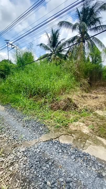 Đất nền Nhơn Ái Cần Thơ 93m² giá 350 triệu - Đầu tư sinh lời ngay!